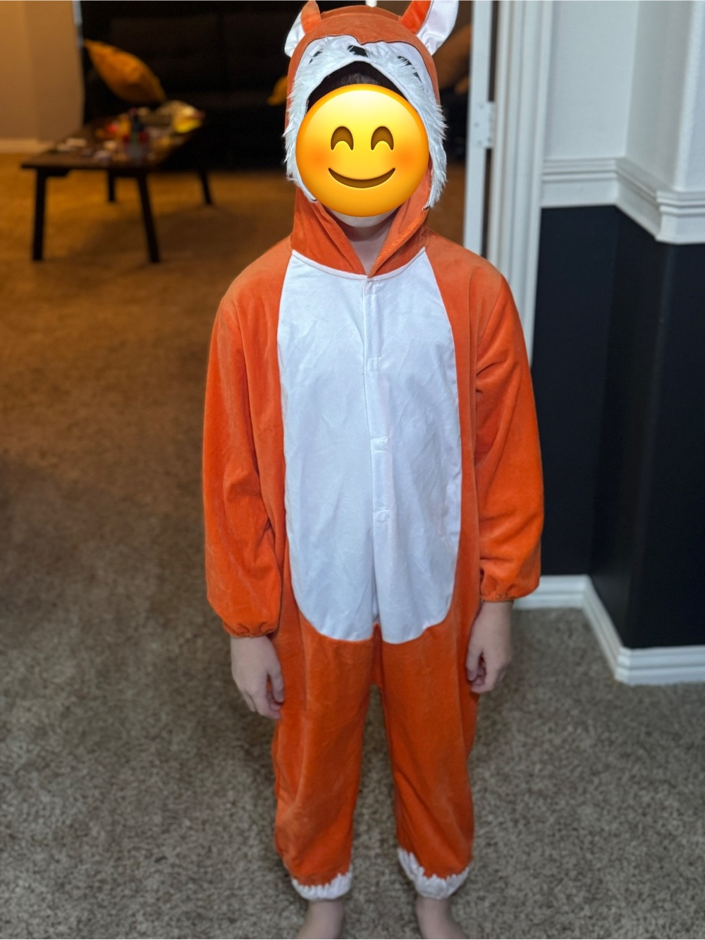 Fox Kids Costume Onsie